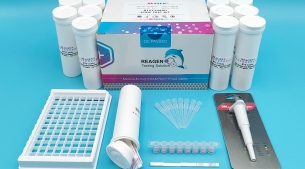 Beta-內酰胺酶快速檢測試紙條